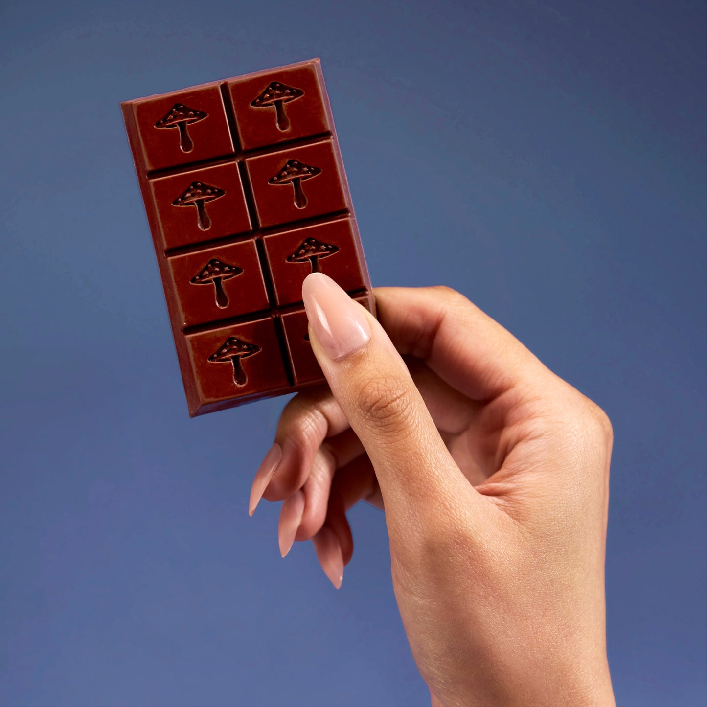 Zen-X Functional Mushroom Chocolates