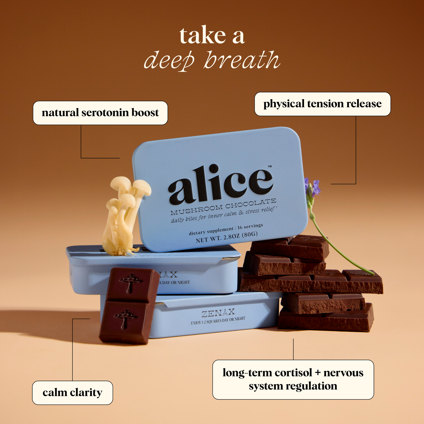 Zen-X Functional Mushroom Chocolates