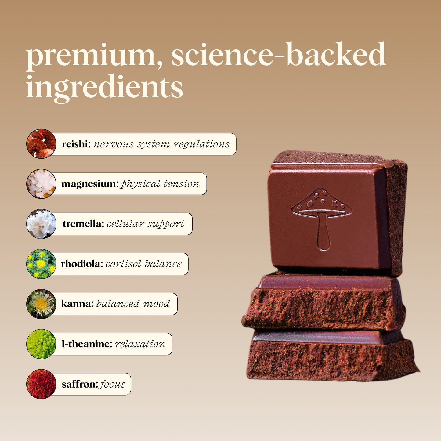 Zen-X Functional Mushroom Chocolates